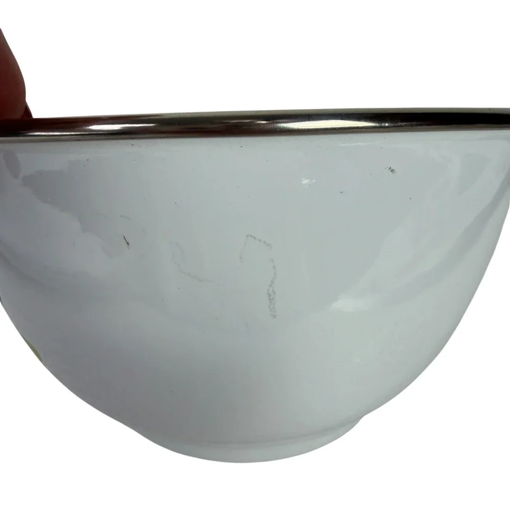 Disney Store Goofy‎ and Pluto Melamine Bowl White Floral Interior 6 Inch